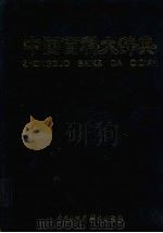 中国百科大辞典  7   1999  PDF电子版封面  7500062125  （王伯恭主编 