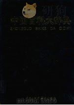 中国百科大辞典  9   1999  PDF电子版封面  7500062125  （王伯恭主编 