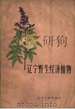 辽宁野生经济植物（1959 PDF版）