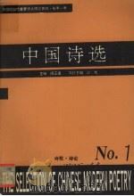 中国诗选   1994  PDF电子版封面  75616242471  闵正道主编 