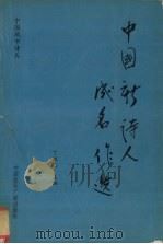 中国新诗人成名作选（1992 PDF版）