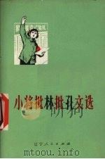 小将批林批孔文选（1974 PDF版）