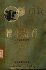 犊牛培育   1954  PDF电子版封面    （苏）游路玛列特（А.П.Юрмалиат）著；邹依平，刘少 