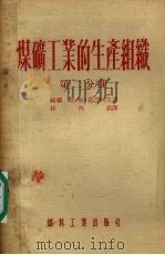 煤矿工业的生产组织  第2分册   1954  PDF电子版封面    （苏联）斯·斯·葛奇柯夫著 