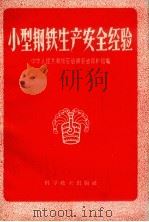 小型钢铁生产安全经验   1959  PDF电子版封面  15051.285  中华人民共和国劳动部劳动保护局编 