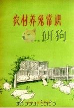 农村养兔常识（1958 PDF版）
