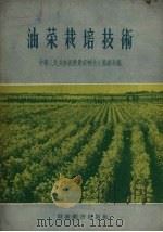 油菜栽培技术   1956  PDF电子版封面  16005.119  中华人民共和国农业部粮食生产总局编 