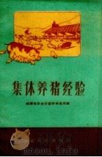集体养猪经验   1960  PDF电子版封面    福建省农业厅畜牧兽医局编 