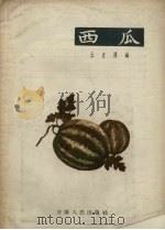 西瓜   1958  PDF电子版封面    王立泽编 
