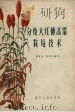 分枝大红穗高粱栽培技术（1965 PDF版）