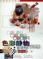 色彩静物基础训练   1999  PDF电子版封面  7805805423  陈澜，陈松茂编著 