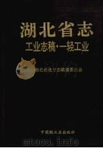 湖北省志·工业志稿·一轻工业（1994 PDF版）