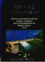 中国湖北大中型企业评价排序  1995（1995 PDF版）