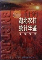 湖北农村统计年鉴  1997（1997 PDF版）