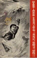 革命青年的榜样   1969  PDF电子版封面  10019.10062  上海出版系统革命组编 
