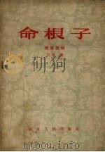 命根子  独幕话剧   1956  PDF电子版封面    刘流著 