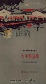 大字报选集（1959 PDF版）