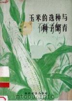 玉米的选种与种子繁育   1956  PDF电子版封面  16005·102  （苏）萨拉莫夫（А.Б.Саламов）著；北京农业大学俄文 