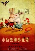 小白兔和小花兔  童话   1956  PDF电子版封面    崔雁荡著 