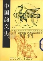 中国韵文史  上   1998  PDF电子版封面  7100017033  泽田总清原著 