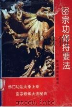 密宗功修持要法   1993  PDF电子版封面  7805910472  刘青平，刘渺主编 