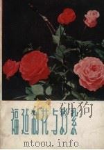 福建制花与彩扎（1959 PDF版）