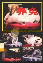 养兔   1982  PDF电子版封面  16089·96  候本荣编著 