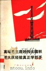 高举毛主席的伟大旗帜  把大庆经验真正学到手   1977  PDF电子版封面  3113234   