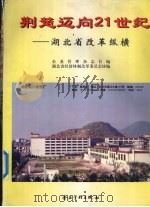 荆楚迈向21世纪  湖北省改革纵横   1997  PDF电子版封面  7800018962  企业管理杂志社编 