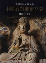 中国石窟雕塑全集  第8卷  四川、重庆   1999  PDF电子版封面  7536648812  剑长久主编 