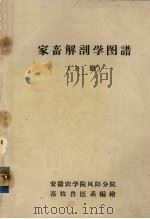 家畜解剖学图谱  上（ PDF版）