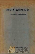 检疫杂草简要图说   1957  PDF电子版封面  16005·163  中华人民共和国外贸易部，商品检验总局编 