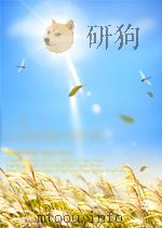 黄与蓝的交响：中西美学比较论   1999  PDF电子版封面    邓晓芒 