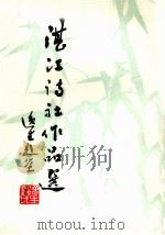 湛江诗社作品选  第1集     PDF电子版封面     
