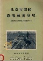 北京市郊区露地蔬菜栽培  北京市郊区蔬菜栽培技术调查报告第4册（1958 PDF版）