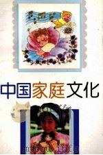 中国家庭文化（1993 PDF版）