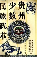 贵州少数民族武术（1992 PDF版）