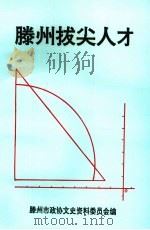 滕州拔尖人才     PDF电子版封面    滕州市政协文史资料委员会编 