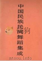 中国民族民间舞蹈集成  新疆卷（1998 PDF版）