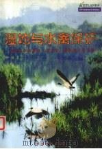 湿地与水禽保护  湿地与水禽保护  东北亚  国际研讨会文集   1998  PDF电子版封面  7503820462  湿地国际－中国项目办事处主编 