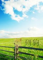 畲族音乐文化     PDF电子版封面     