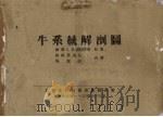 牛系统解剖图   1954  PDF电子版封面    （苏）伊凡诺夫（С.В.Иванов）撰；（苏）鲍格莫洛夫， 