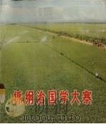 抓纲治国学大寨   1977  PDF电子版封面    广东省农业学大寨览馆，广东人民出版社合编 