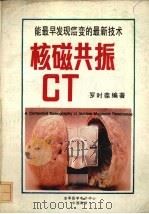 核磁共振CT   1989  PDF电子版封面    罗时葆编著 