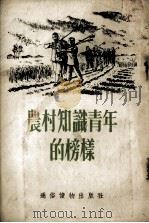 农村知识青年的榜样   1954  PDF电子版封面    新华书店发行 