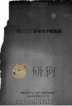 “6·20”革命大字报选集（1967 PDF版）