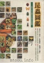 昆虫图鉴：台湾七百多种常见昆虫生态图鉴   1998  PDF电子版封面  9573234300  张永仁撰文/生态摄影 