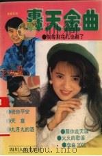 轰天金曲   1995  PDF电子版封面  7220027915  晓木编 
