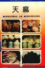 天麻   1994  PDF电子版封面  7534914167  河南省食用菌协会主编 