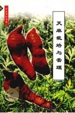 天麻栽培与管理   1999  PDF电子版封面  7805849080  刘能俊编 
